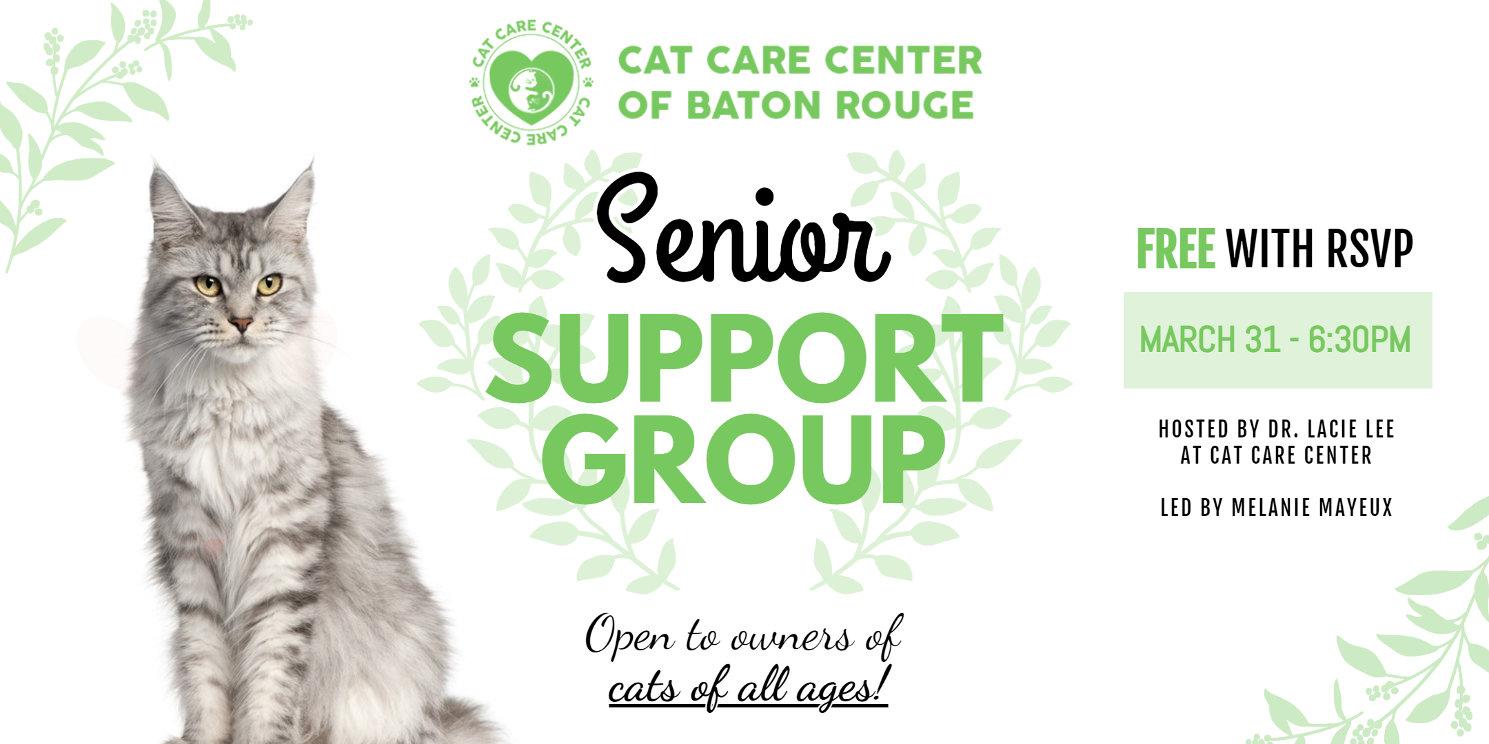 Senior Support Group