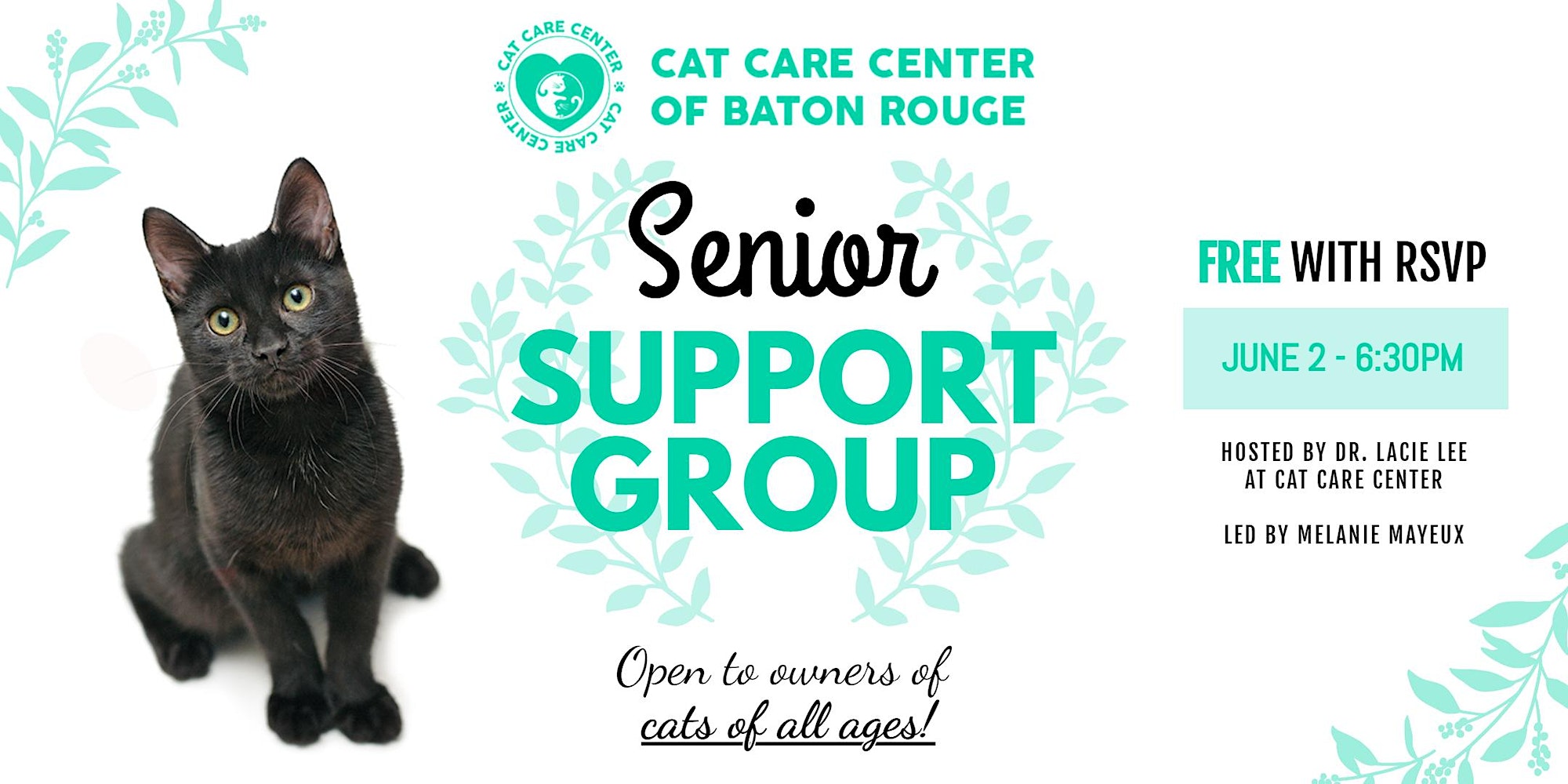 Senior Support Group