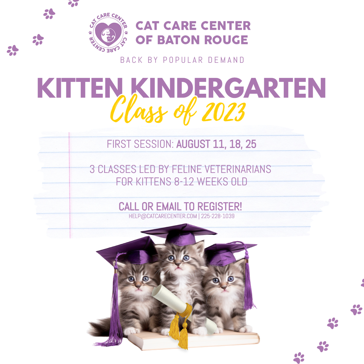 Kitten Kindergarten