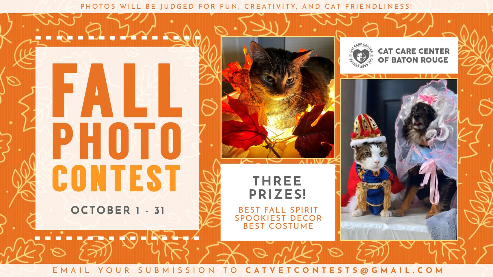 2023 Fall Photo Contest