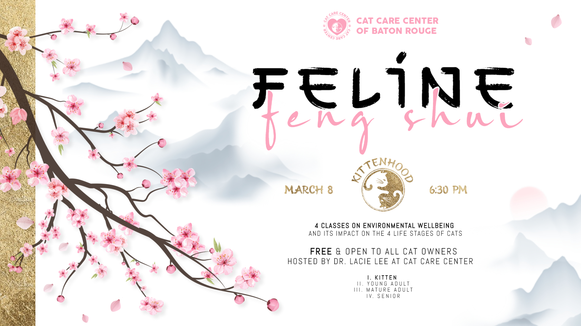 Feline Feng Shui: Kittenhood