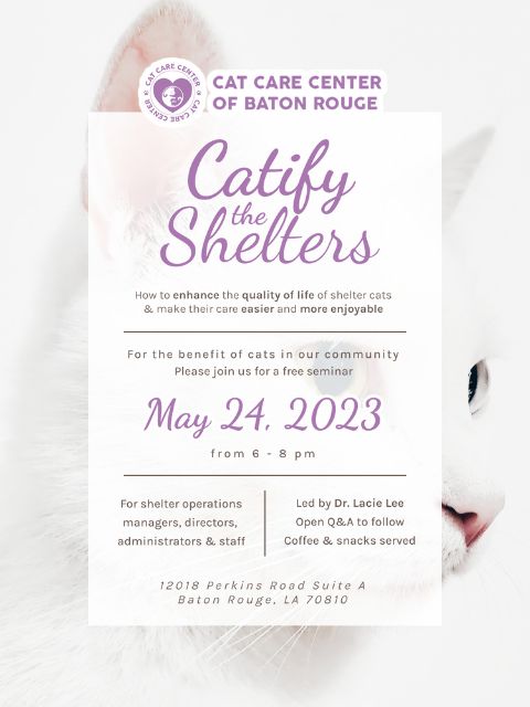 Catify The Shelters