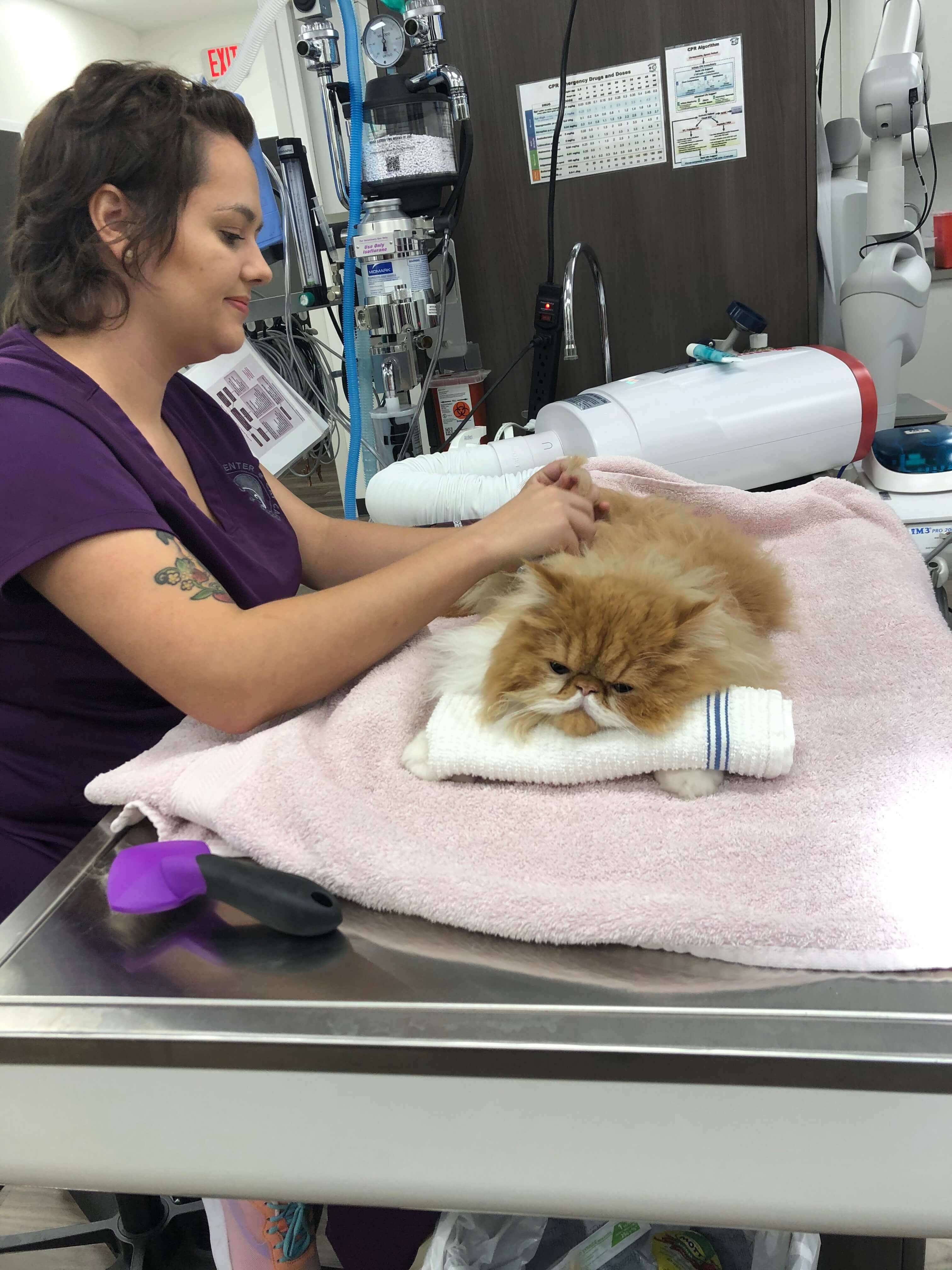 Grooming