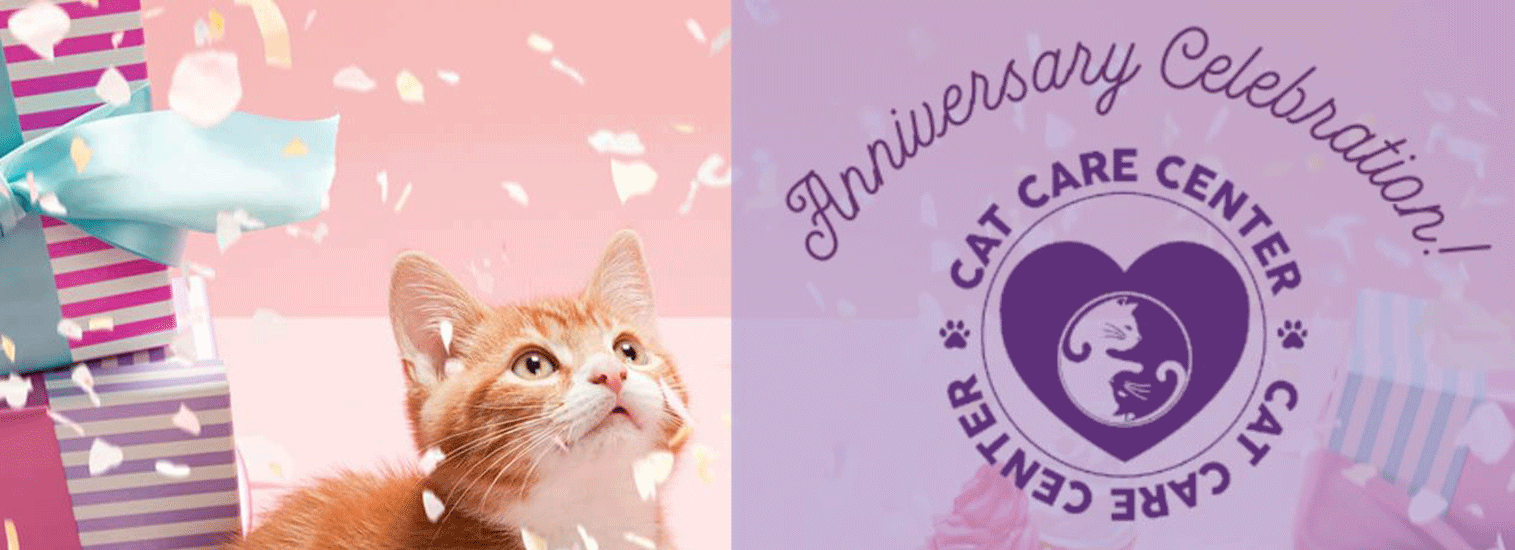 Top Rated Local Veterinarians Cat Care Center of Baton Rouge