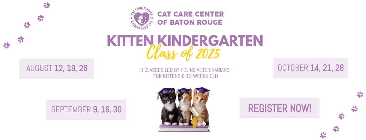 KITTEN KINDERGARDEN CAT CARE CENTER