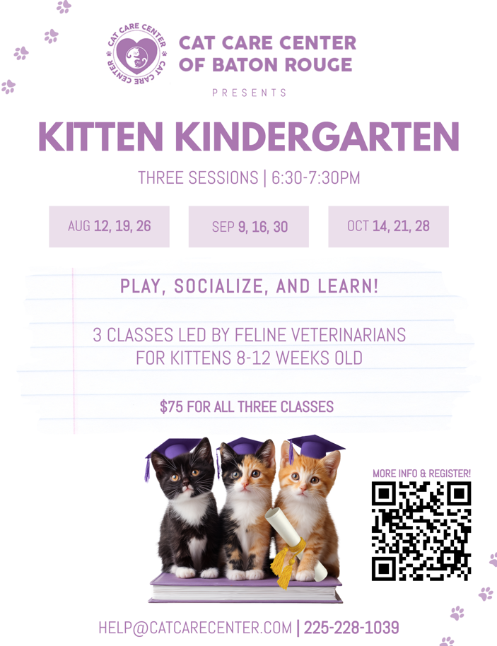KITTEN KINDERGARDEN CAT CARE CENTER