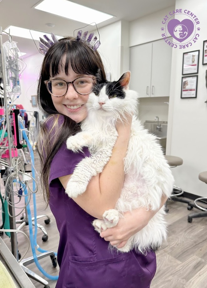 cat care center