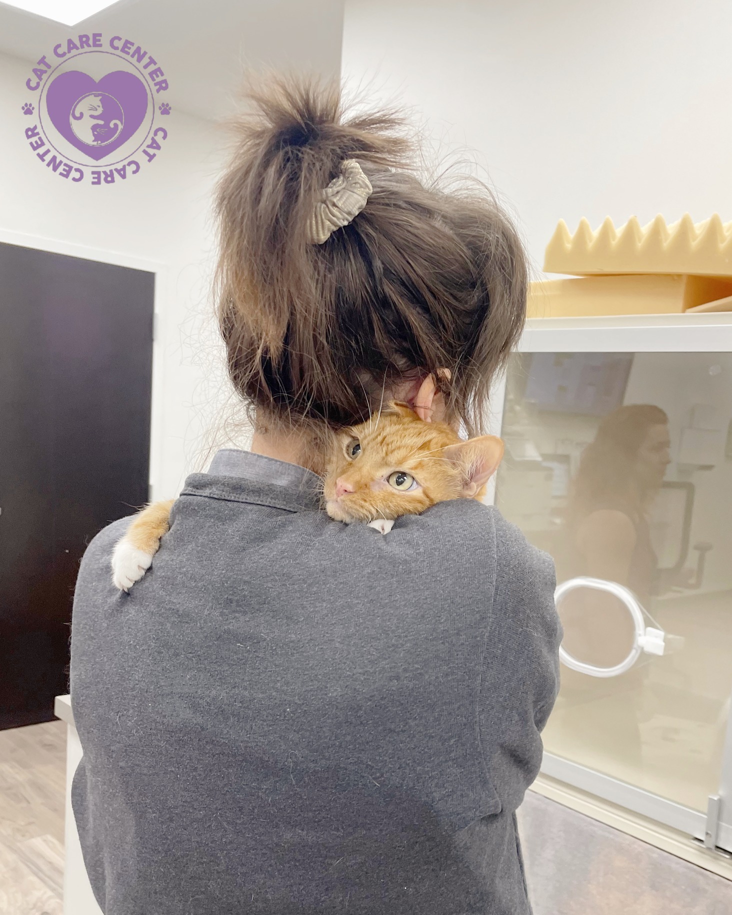cat care center