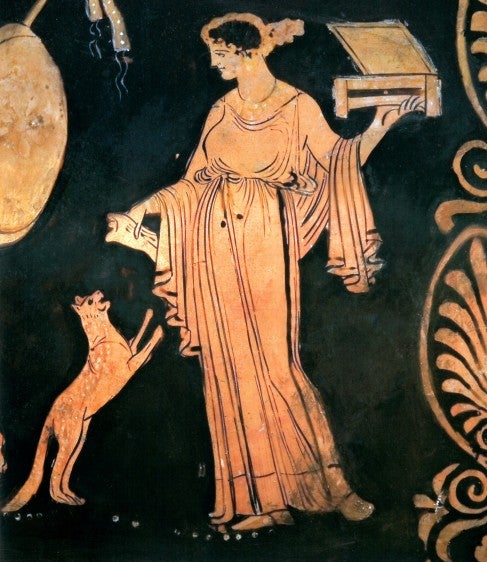 what your cats kidney wish you knew