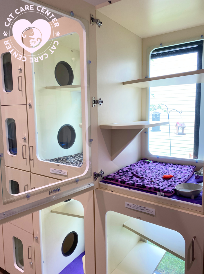 cat care center boarding resort baton rouge