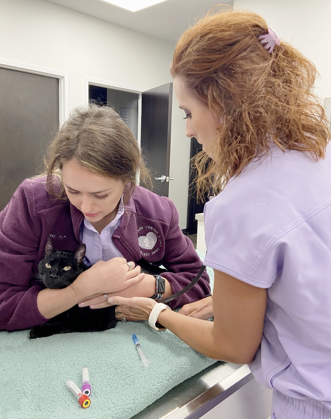 Cat Care Center Baton Rouge Wellness Exam