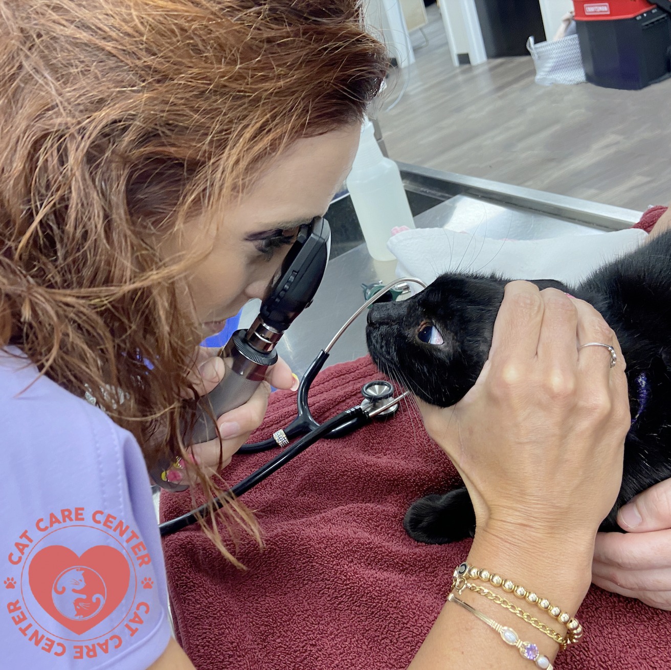 Cat Care Center Baton Rouge Preventative