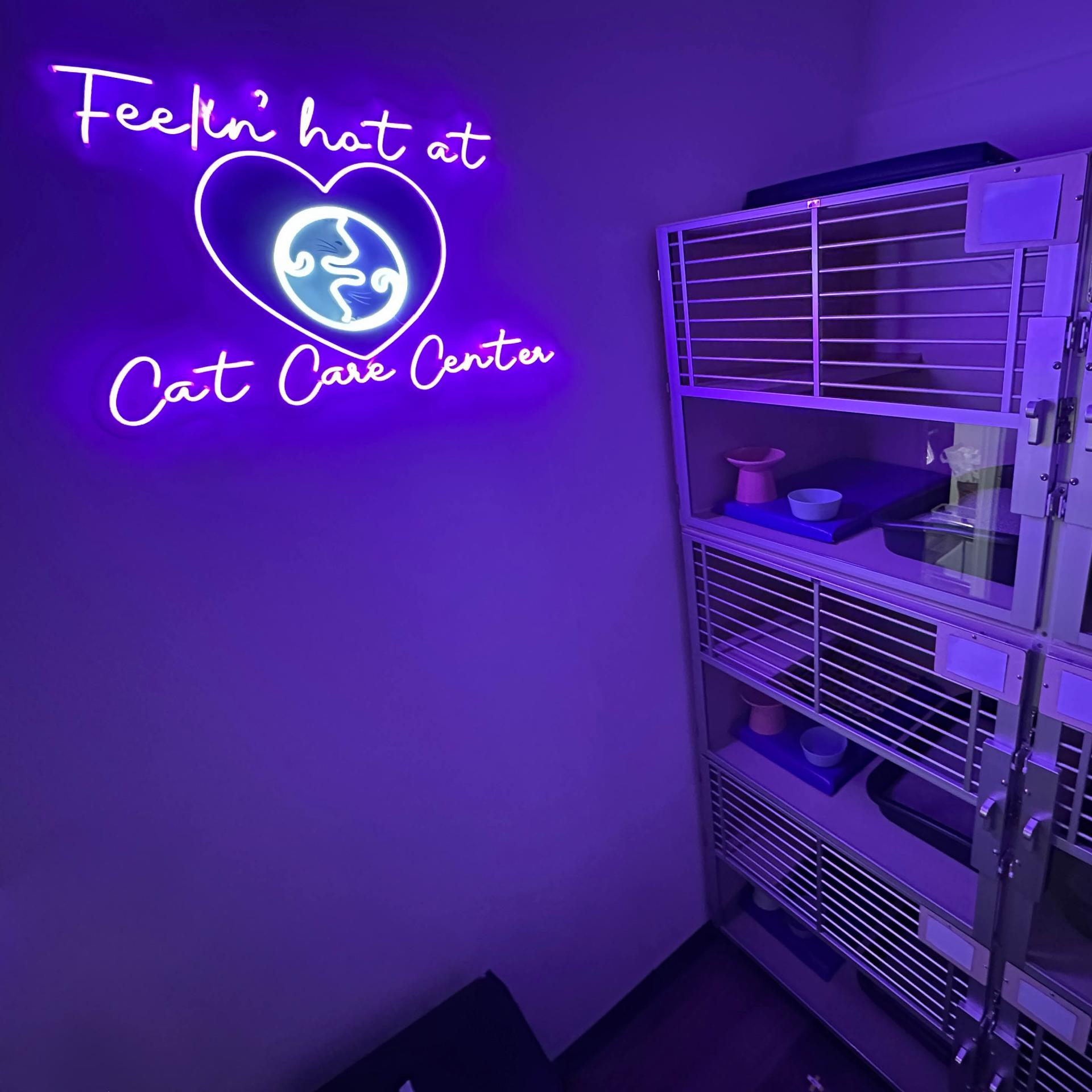 cat care center baton rouge hyperthyroidism treatment for cats i131 radioactive iodine therapy cat care center baton rouge hyperthyroidism treatment for cats i131 radioactive iodine therapy