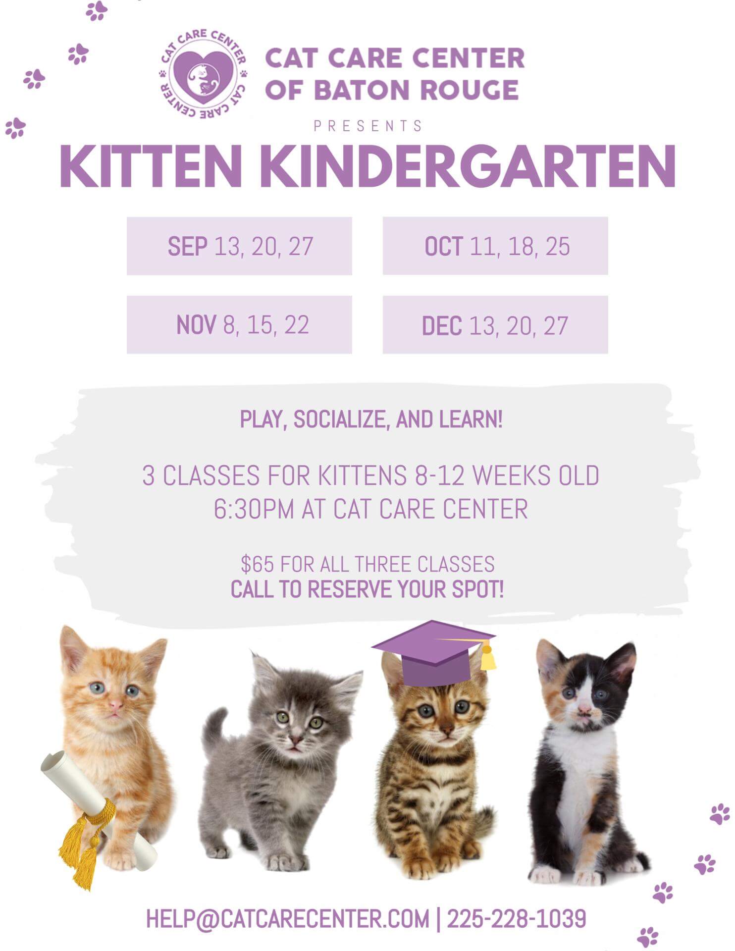 Kitten Kindergarten Baton Rouge Event at Cat Care Center