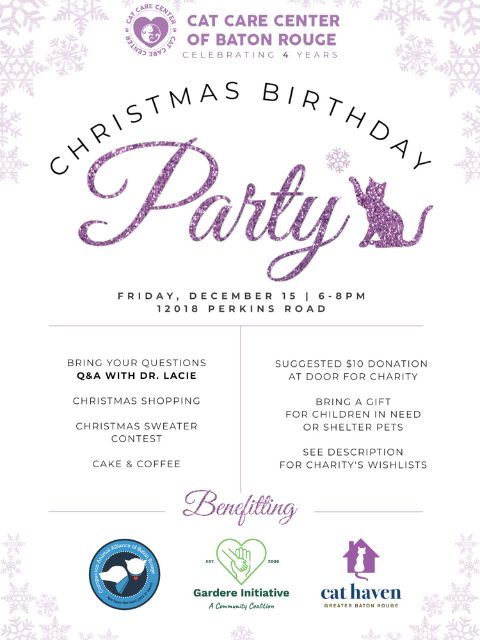 Cat Care Center - Christmas birthday party