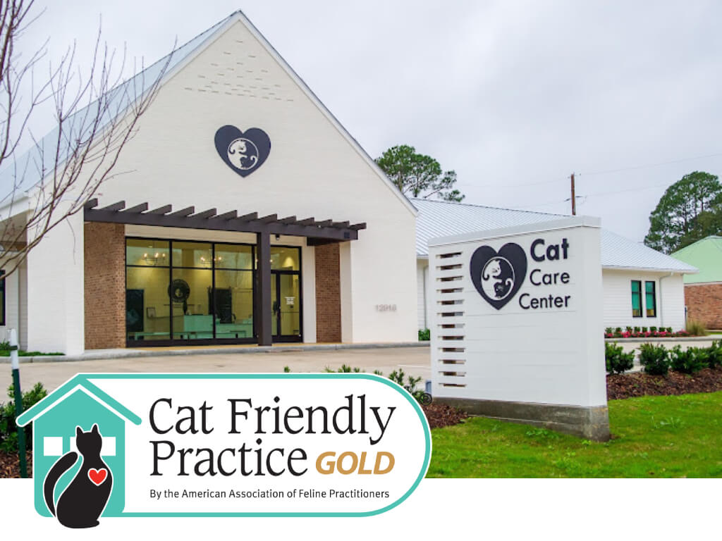 Cat Care Center of Baton Rouge Best Feline Vet 