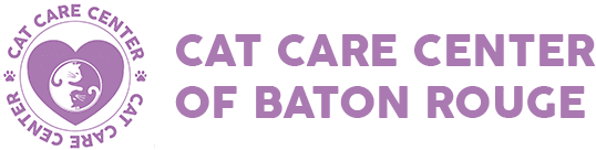 Cat Care Center Baton Rouge Veterinarian 