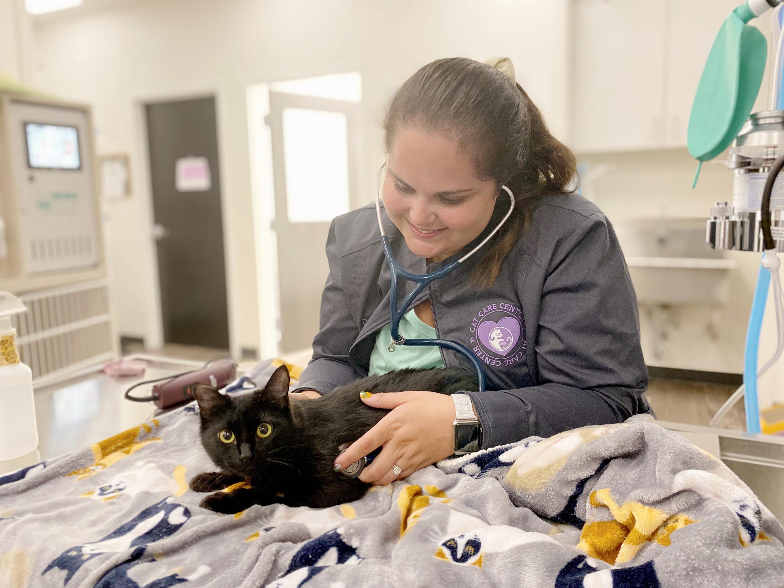 Cat Care Center Baton Rouge Wellness