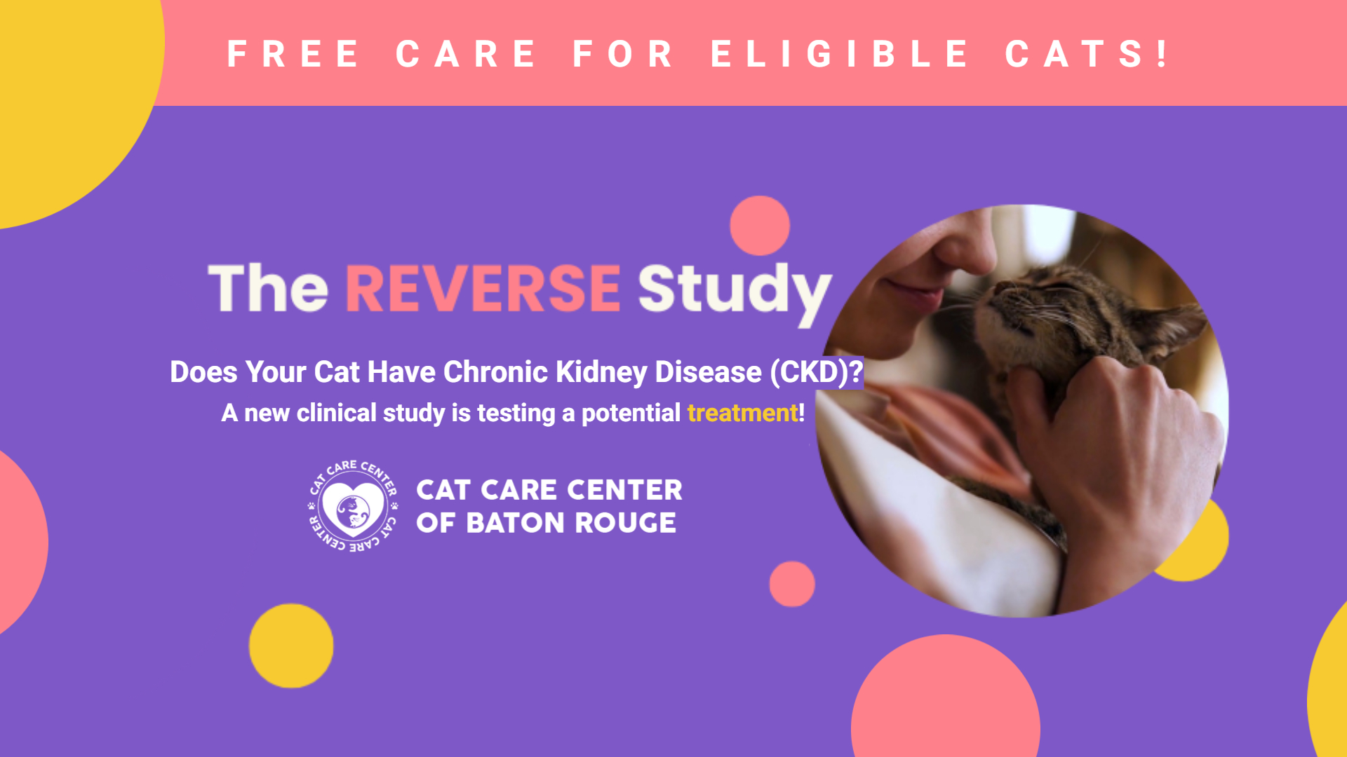 kidney disease study
