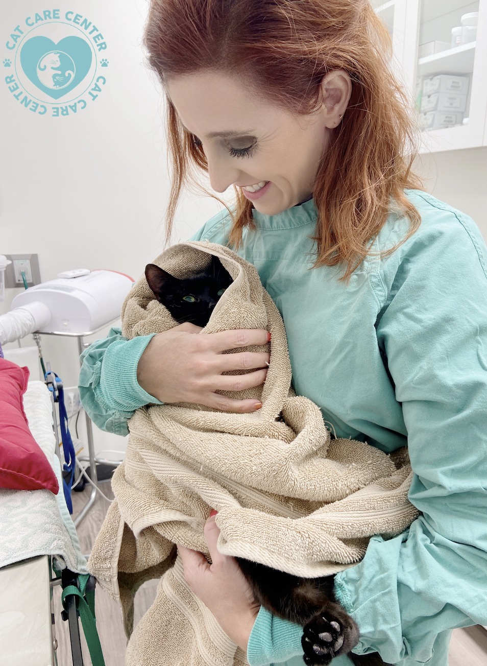 Cat Care Center Baton Rouge Spay