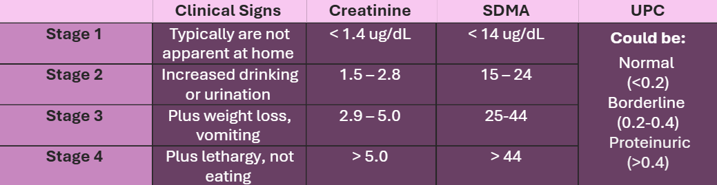 stages of kidney disease stages of kidney disease