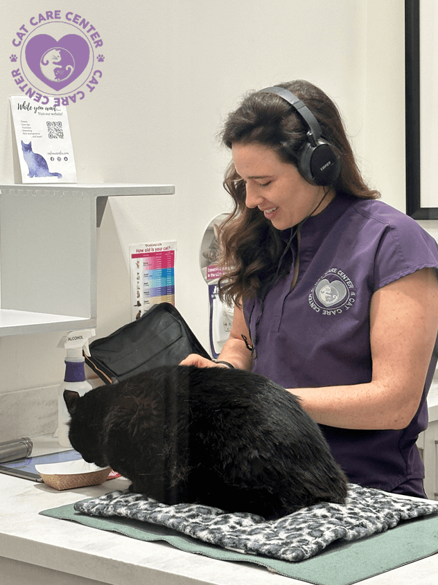 cat care center fip treatment in baton rouge louisiana