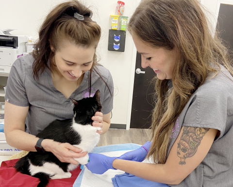 Nurses with a patient.