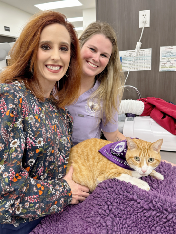 Cat Vet Baton Rouge Top Rated Veterinarian Dr Lacie Lee