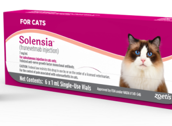 Solensia: Calling Arthritic Cats!