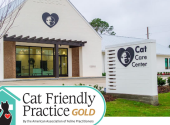 What is a Cat Friendly Practice?