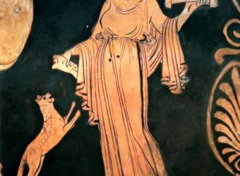 What Your Cat's Kidneys Wish You Knew